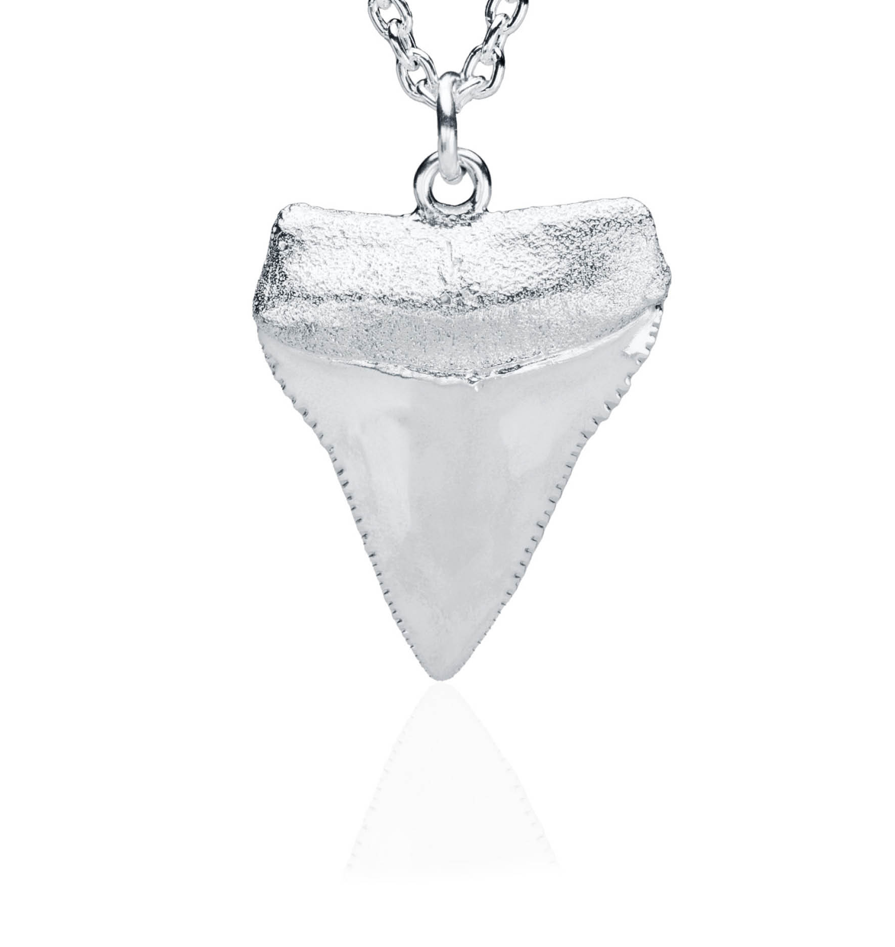 Large Great White Shark's Tooth Pendant CBS-LGGWST-SS - CB Stark
