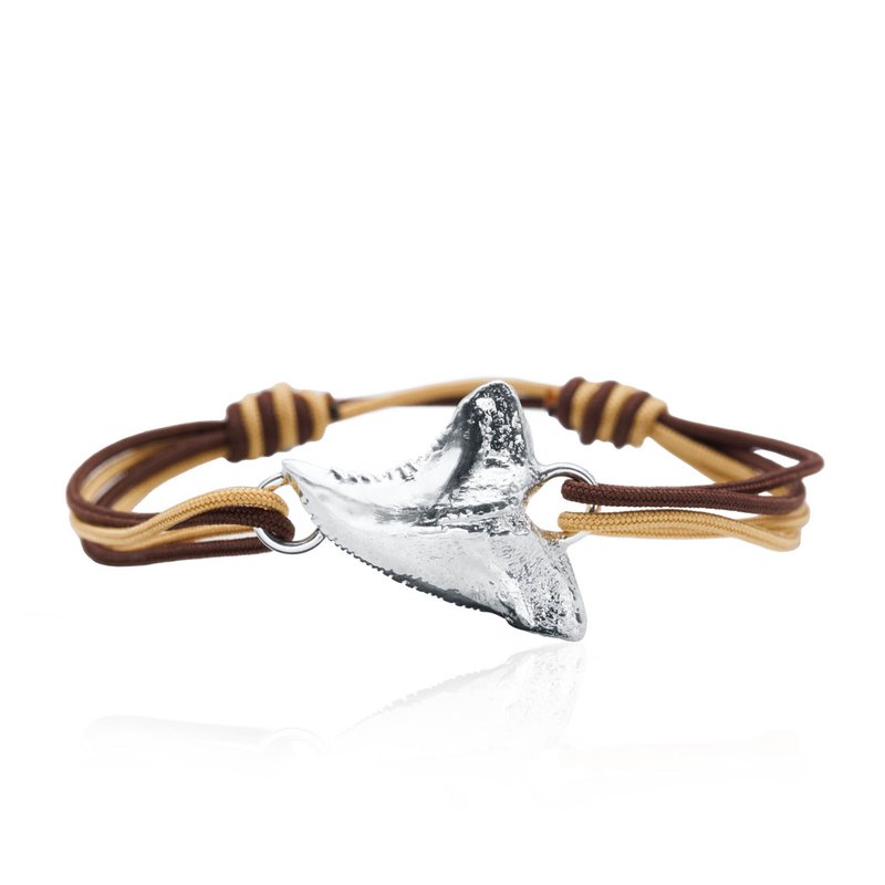 Shark's Tooth Tie Bracelet CBS-SHARK TIE-SS - CB Stark Jewelers
