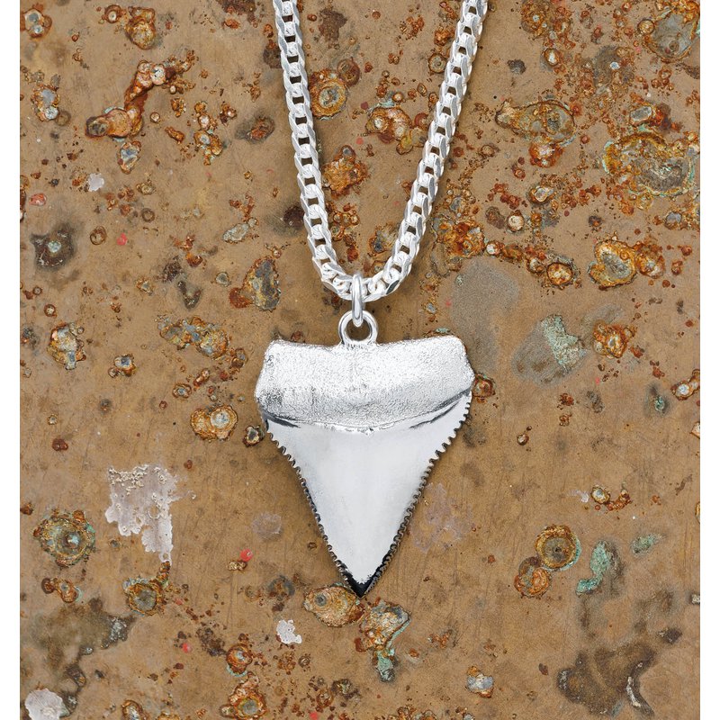 Large Great White Shark's Tooth Pendant