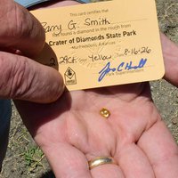 Tennessee Grandfather Unearths 2.29-Carat Canary Yellow Diamond in Arkansas