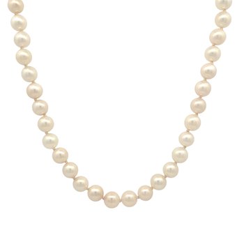 Akoya Pearls 800-05775