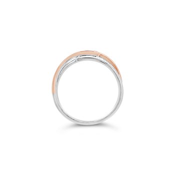 Ring 130-02061