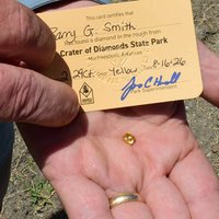 Tennessee Grandfather Unearths 2.29-Carat Canary Yellow Diamond in Arkansas