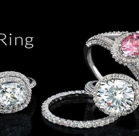 Signature Collection
