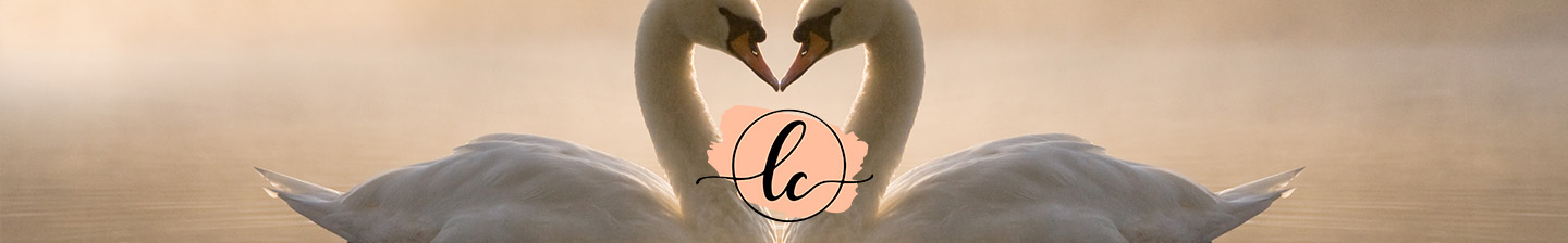 Love Connection