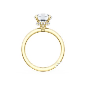 18K YELLOW GOLD DIAMOND UNDERHALO SOLITARE MOUNTING FOR ROUND CENTER 001-140-03319