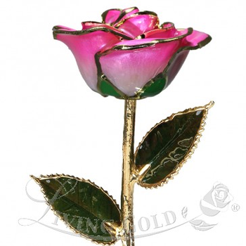 ｒｏｓｅ Garden Pink Expression Roses 40 cm (25 St bunch