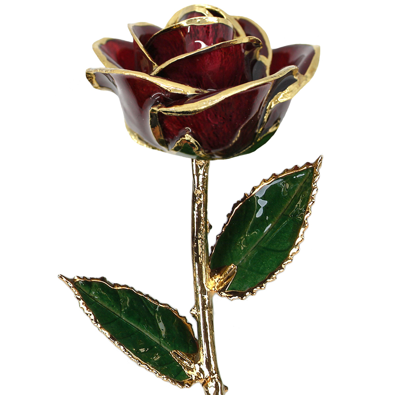 24 Karat Gold Dipped Roses Burgundy Enamel 998-03906 - Family & Co