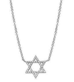 Family & Co. .11cttw Diamond Star of David Necklace 14kt White