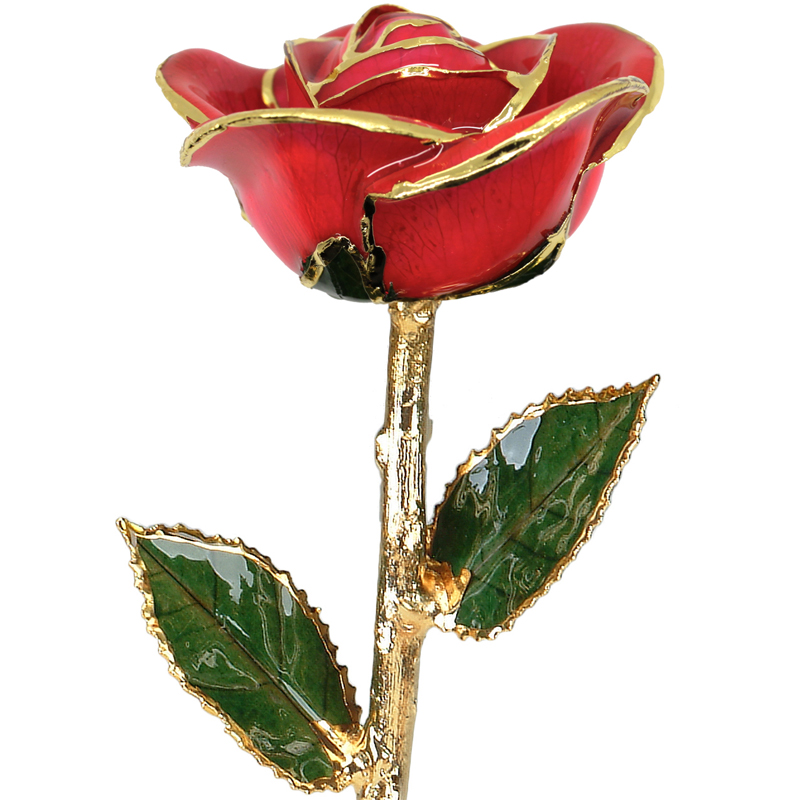 24 Karat Gold Dipped Roses Bright Red Enamel 998-03879 - Family