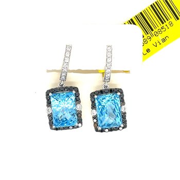 Earrings 210-04384