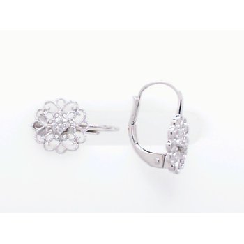 Earrings 210-00779