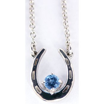 Equestrian Jewelry Sterling Silver Horseshoe Necklace with Blue