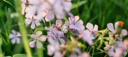 How Warm Weather Can Affect Your Diamond Jewelry